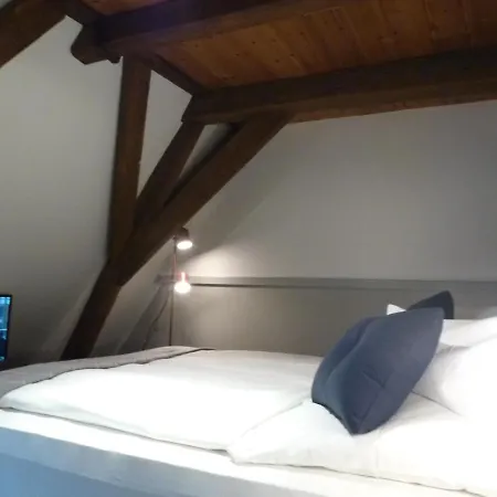 Hohes Haus Hotel 3*