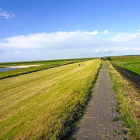Hotel Hohes Haus 3*